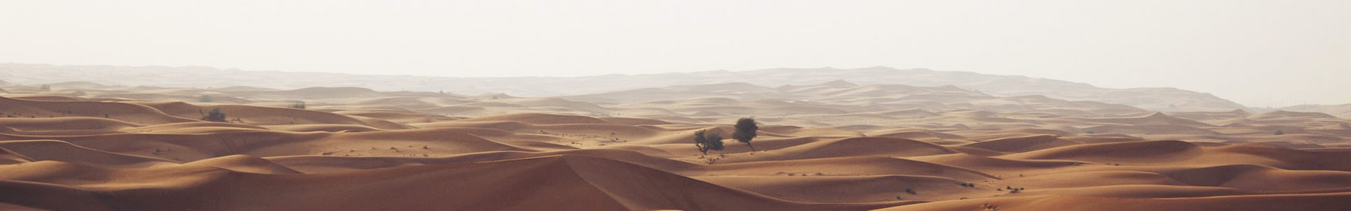 ɽɴŵƼ޹˾